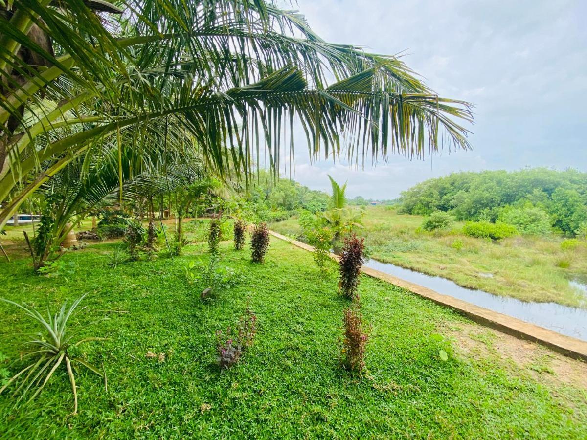 Hidden Garden Tangalle Exterior foto